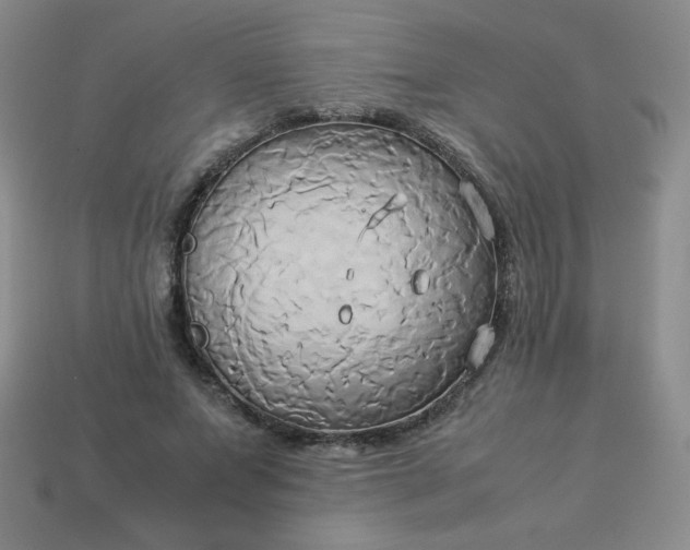 X0000114150687200910221547