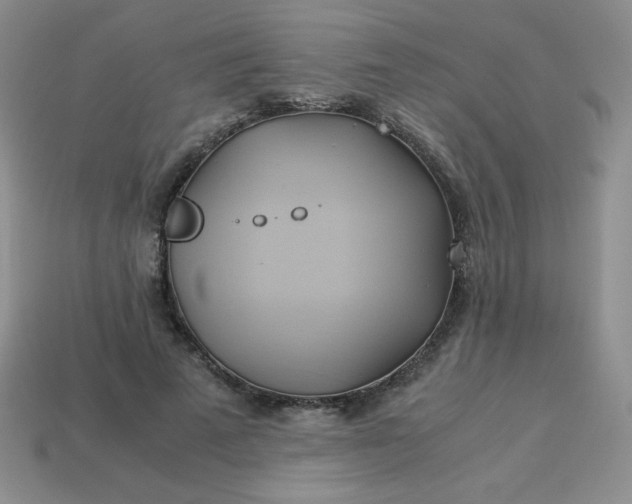 X0000114150689200910221547