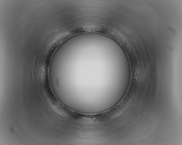 X0000114150690200910221547