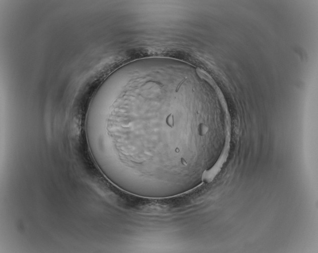 X0000114150691200910221547