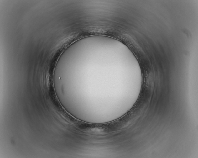 X0000114150692200910221547