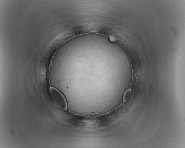 X0000114150693200910221547