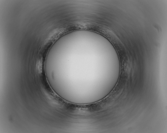 X0000114150694200910221547