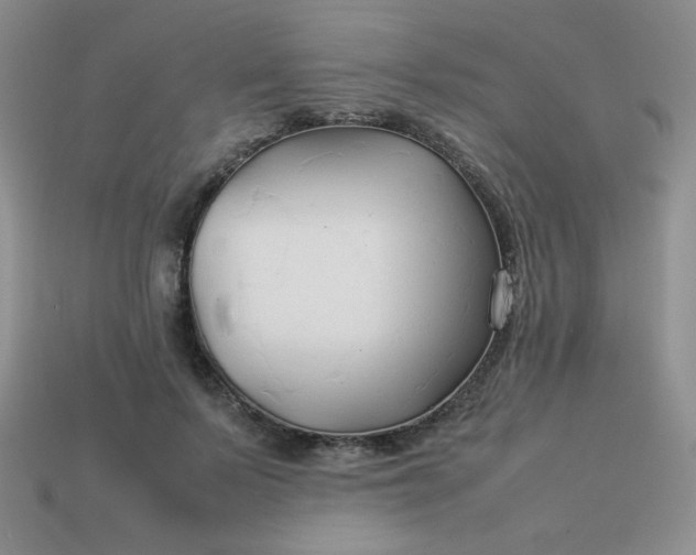 X0000114150695200910221547