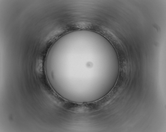 X0000114150696200910221547