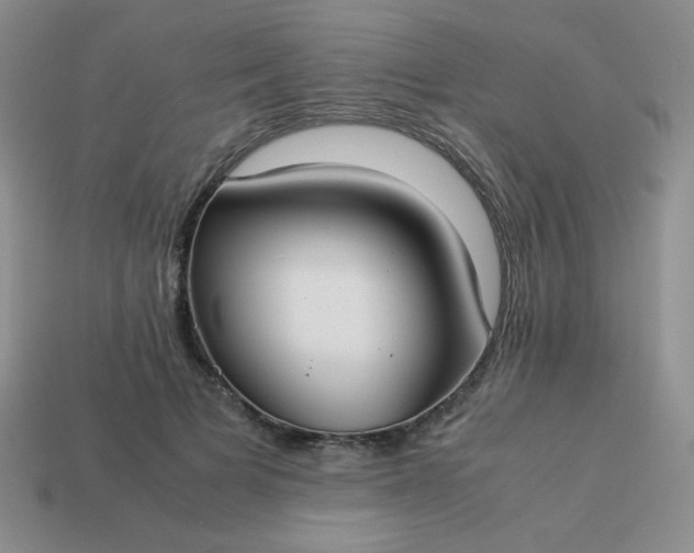 X0000114150697200910221547