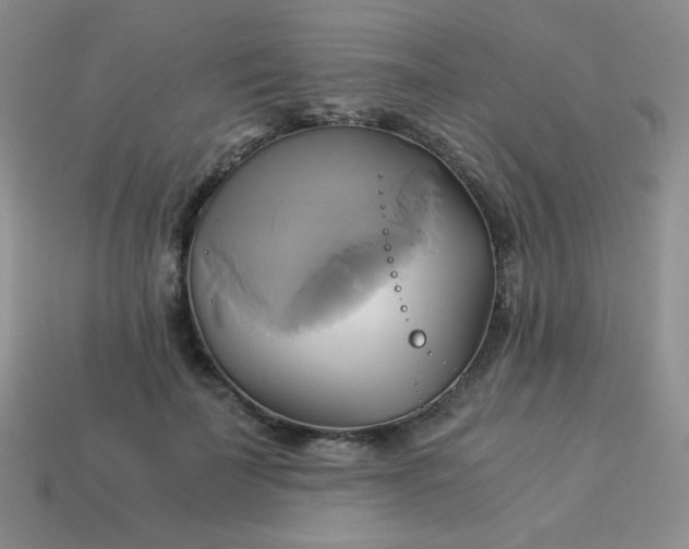 X0000114150699200910221547