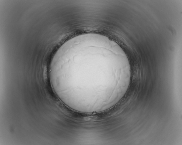 X0000114150700200910221547