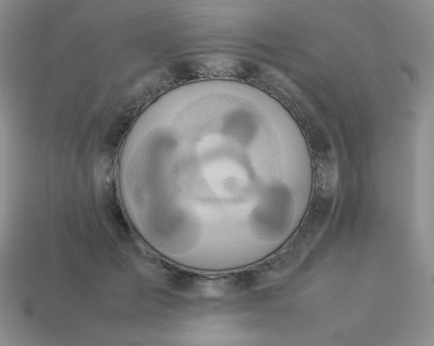 X0000114150701200910221547