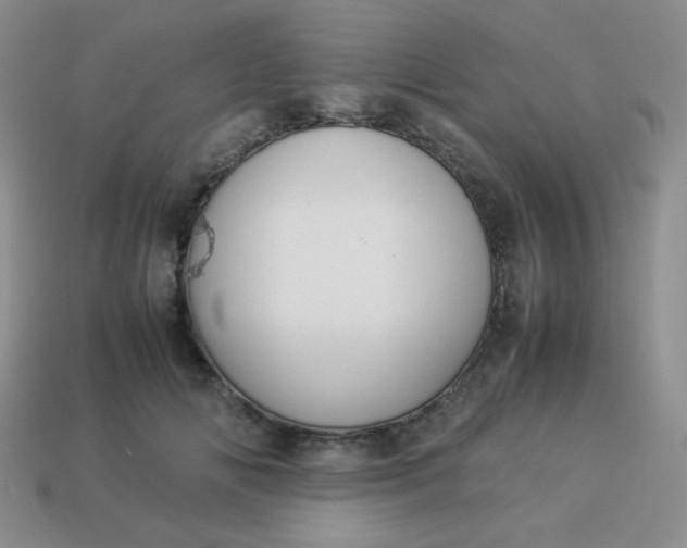 X0000114150702200910221547