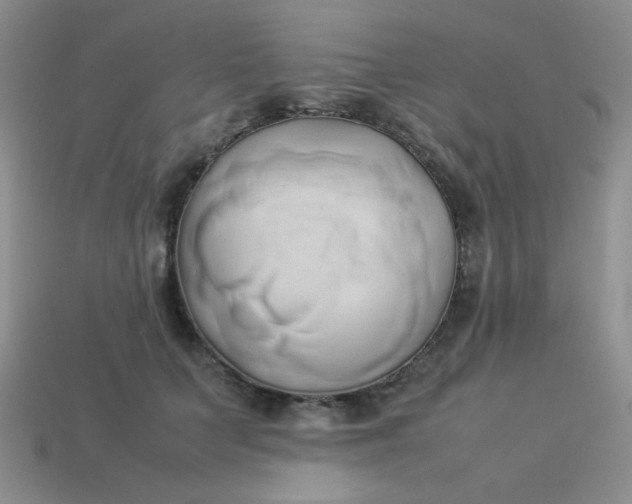 X0000114150703200910221547