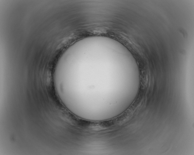 X0000114150704200910221547