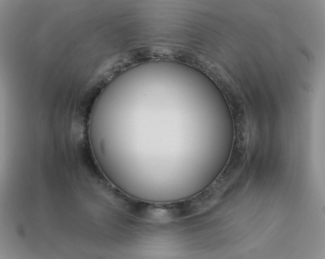 X0000114150706200910221547