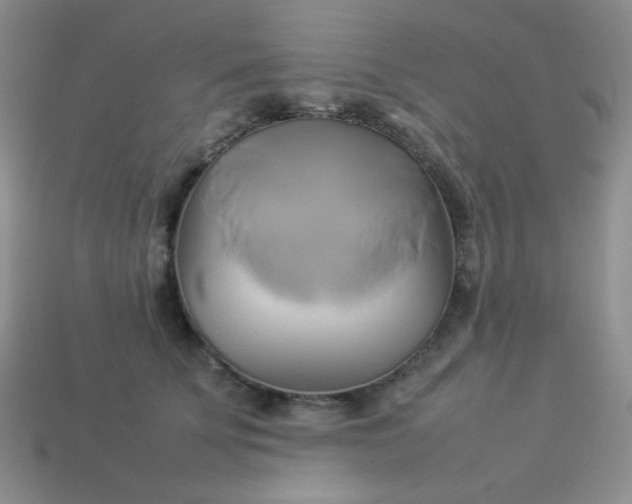 X0000114150707200910221547