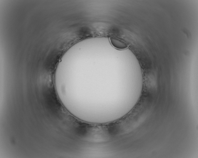 X0000114150709200910221547