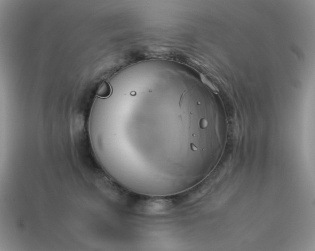 X0000114150711200910221547