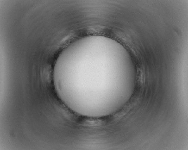 X0000114150712200910221547