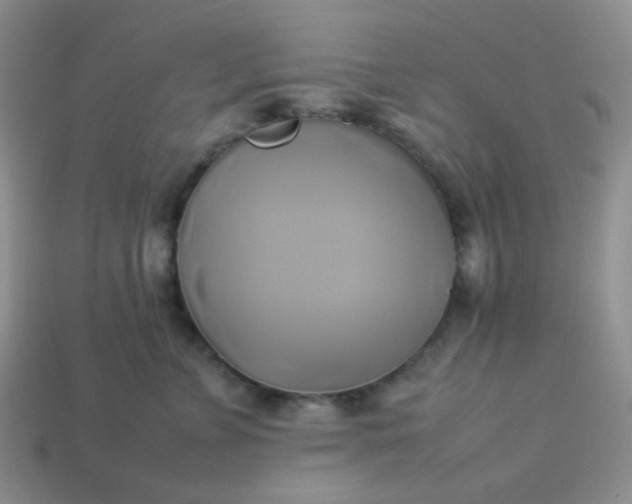 X0000114150715200910221546