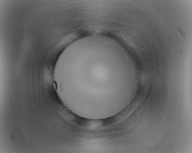 X0000114150719200910221546