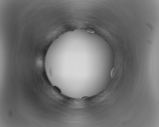 X0000114150720200910221546