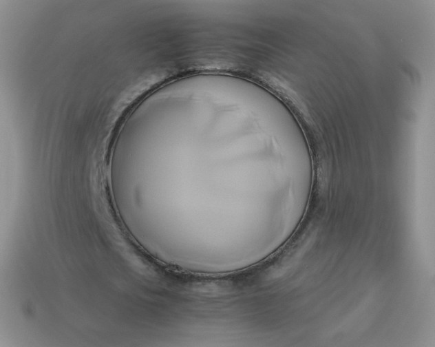 X0000114150721200910221546