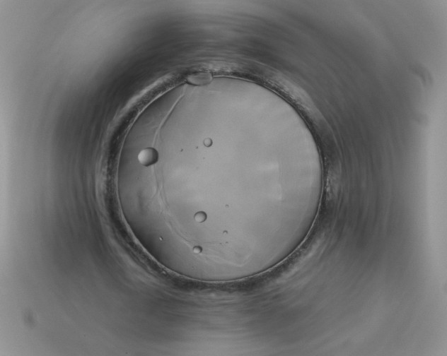 X0000114150722200910221546