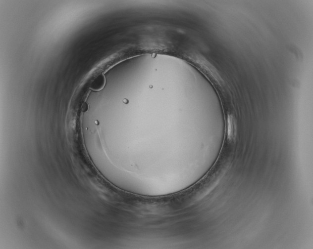 X0000114150723200910221546