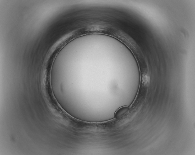 X0000114150724200910221546