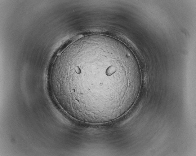 X0000114150725200910221546