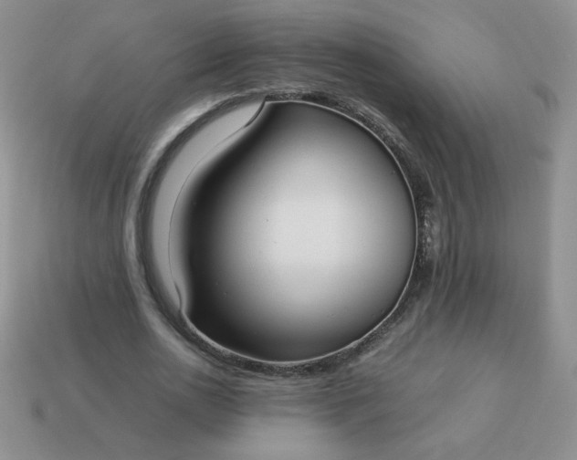 X0000114150726200910221546