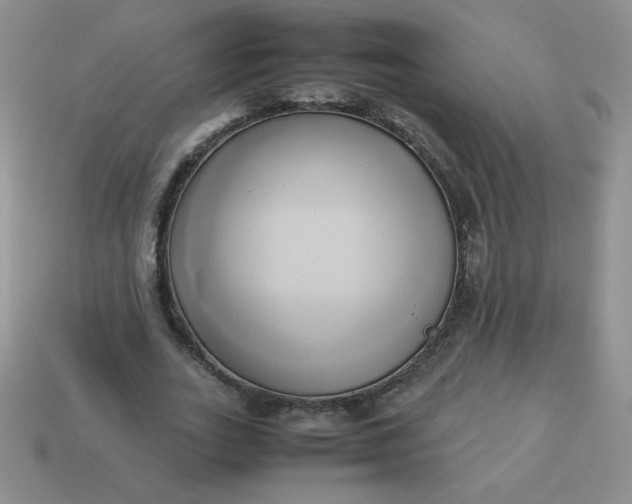 X0000114150727200910221546