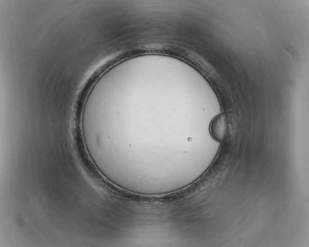 X0000114150728200910221546