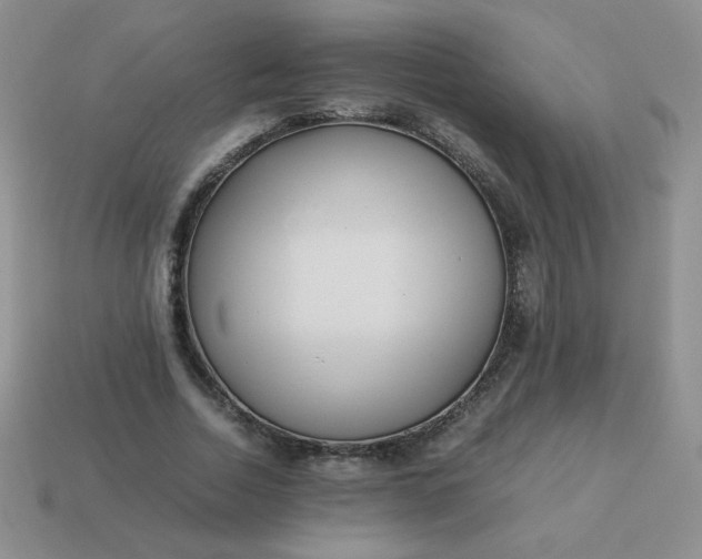 X0000114150730200910221546