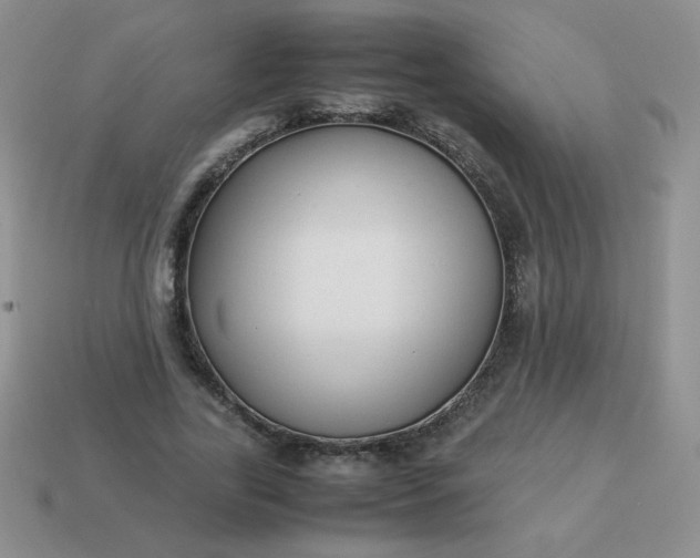 X0000114150731200910221546