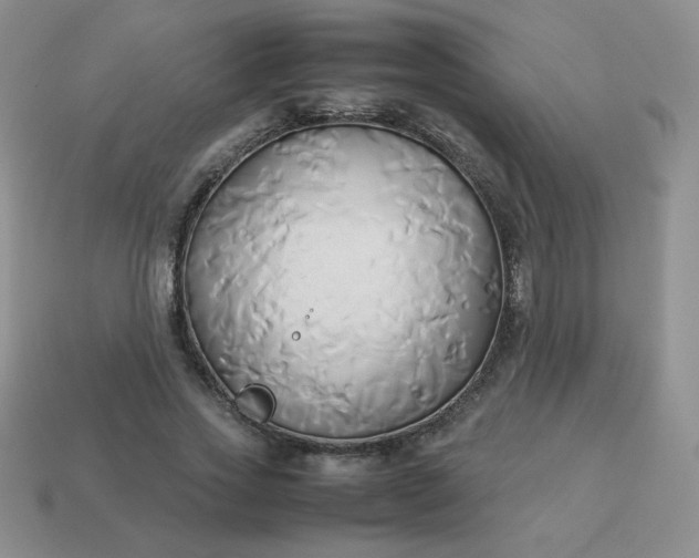 X0000114150733200910221546