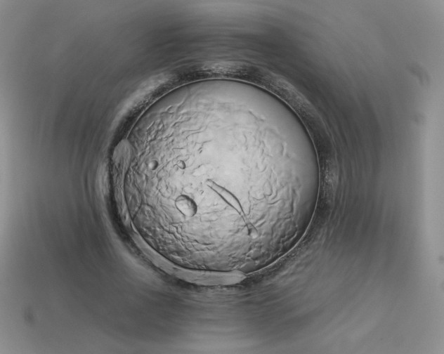 X0000114150734200910221546