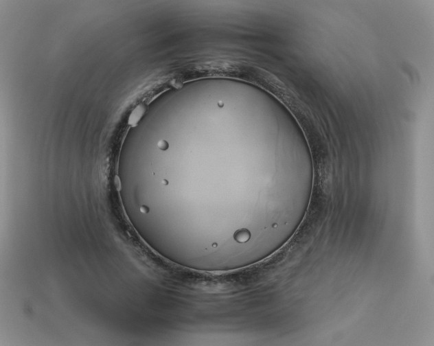 X0000114150735200910221546