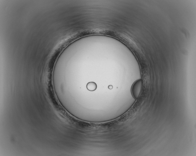 X0000114150736200910221546