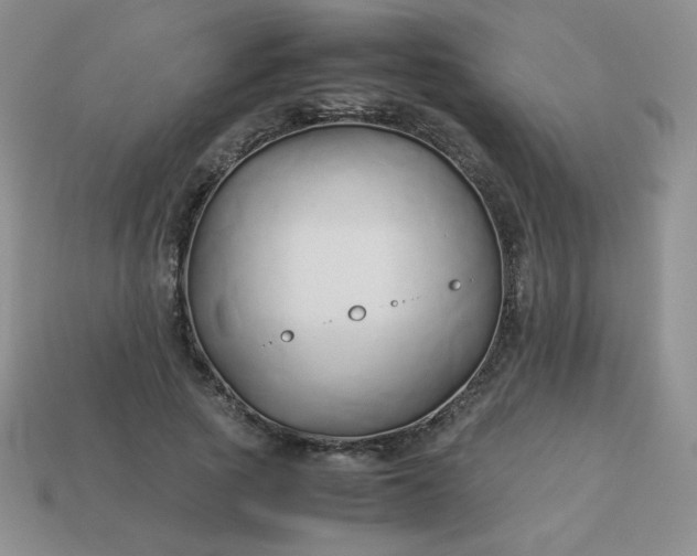 X0000114150737200910221546