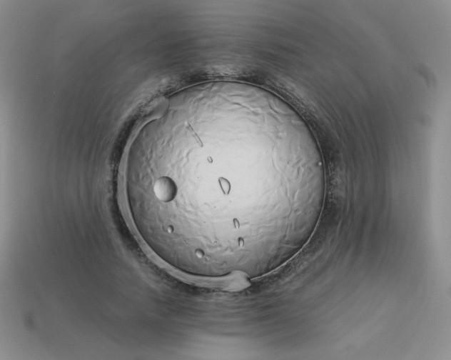 X0000114150738200910221546