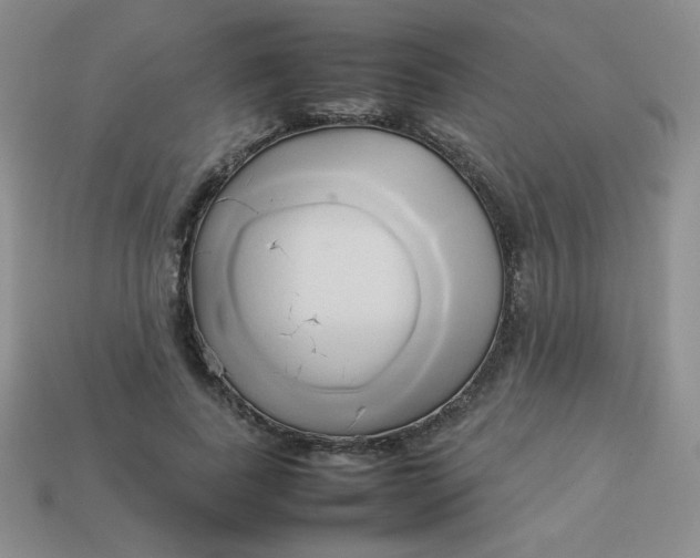 X0000114150739200910221546