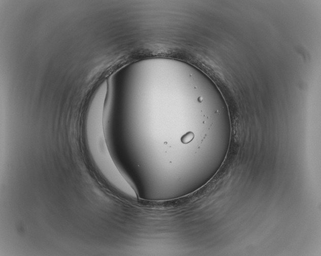 X0000114150740200910221546