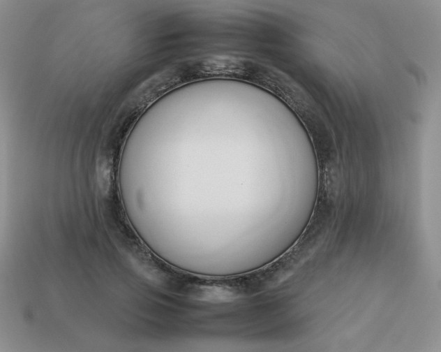 X0000114150741200910221546