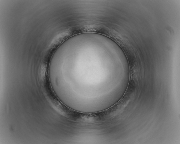 X0000114150742200910221546