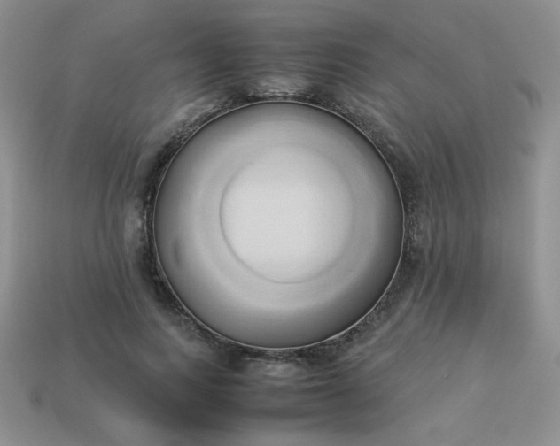 X0000114150743200910221546