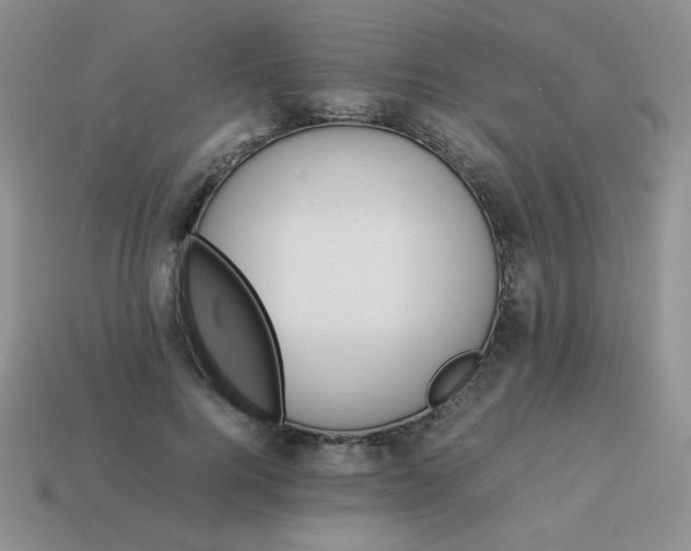 X0000114150744200910221546