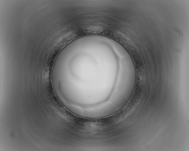 X0000114150745200910221546