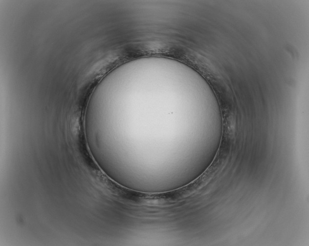 X0000114150746200910221546