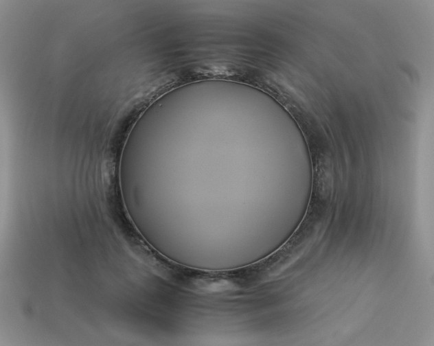 X0000114150747200910221546