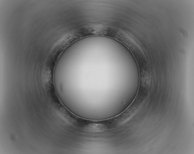 X0000114150748200910221546